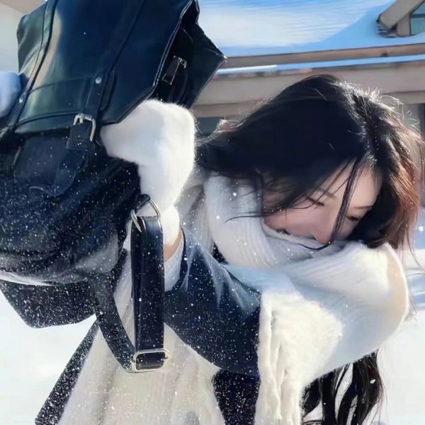 圣骑密令